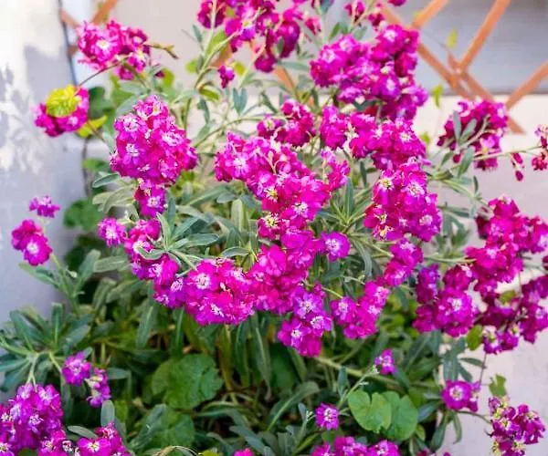 Villa Elianthos Luxury Tsoukaladhes